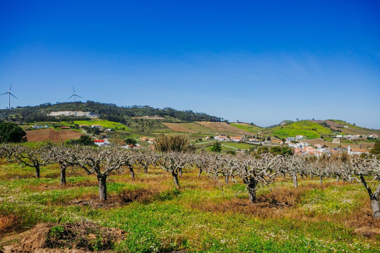 Traditional Portuguese Village House - Casa Martins No 52 Freiria Bagian luar foto