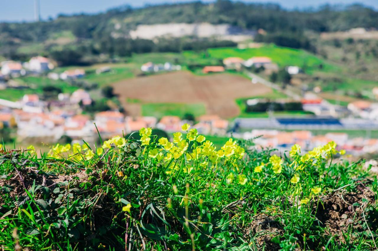 Traditional Portuguese Village House - Casa Martins No 52 Freiria Bagian luar foto