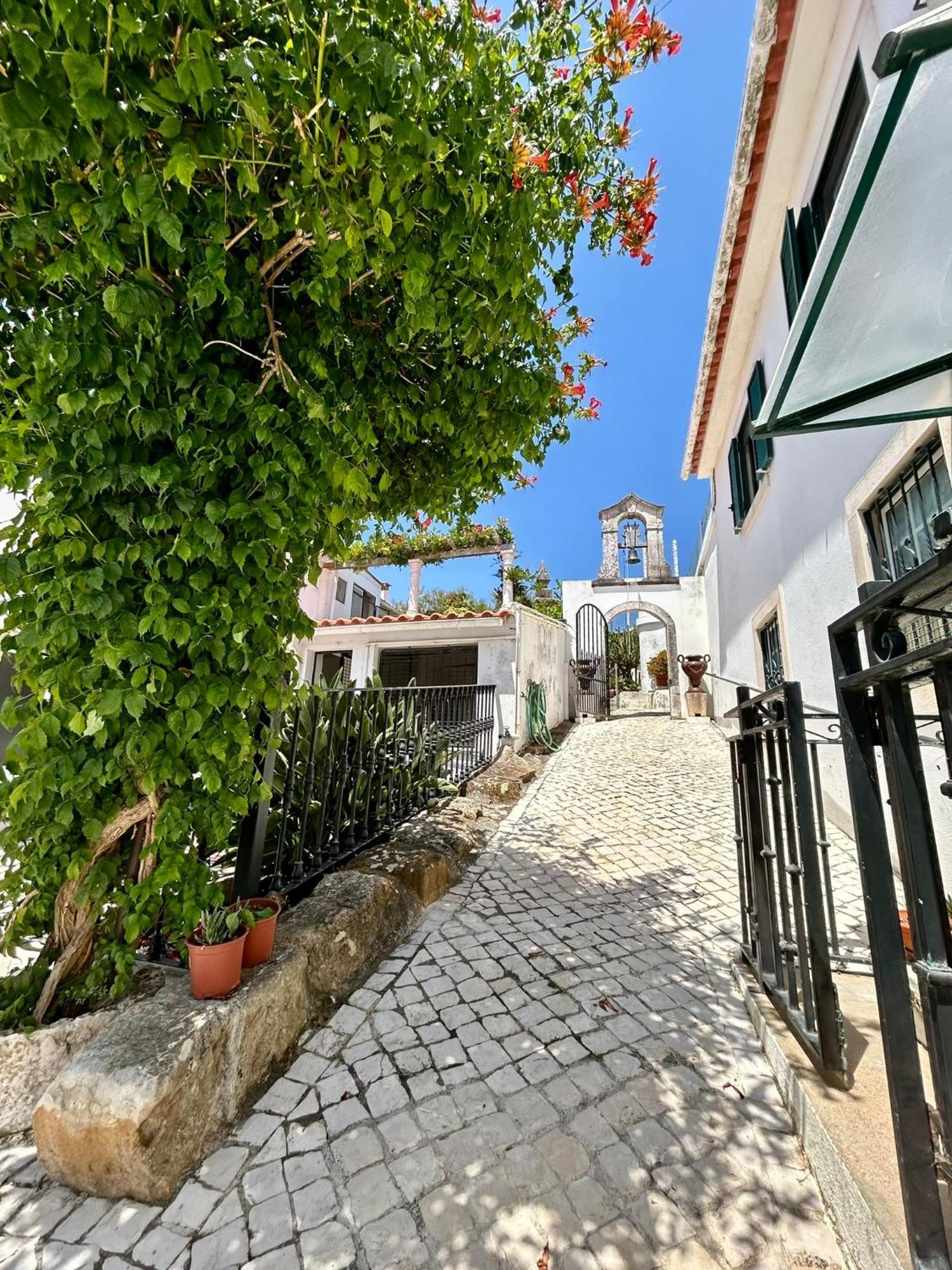 Traditional Portuguese Village House - Casa Martins No 52 Freiria Bagian luar foto